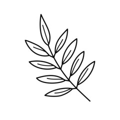 A branch with leaves in the doodle style. The concept of a new crop. Vector element in outline style in black. It is perfect as an icon, label, postcard or decor