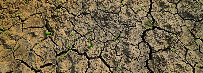 texture desert drought background abstract earth cracked warming global