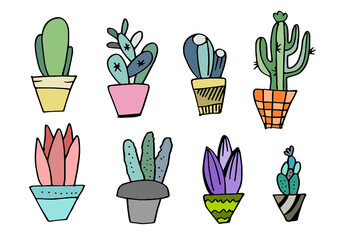 Colorful Cactus and succulents vector set. Hand drawn cacti illustration.