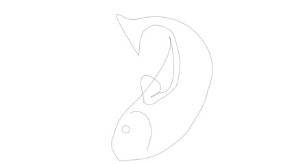 Fototapeta premium 魚