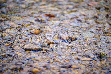 The soil is covered with spring frost, the ground wakes up after winter, cracked soil and spring mornings.