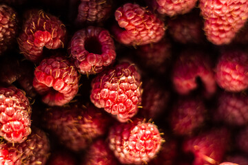 Fresh organic ripe raspberry - forest fruit