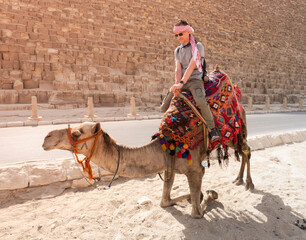 Naklejka premium A tourist on a camel poses against the backdrop of the pyramids in Giza, Cairo, Egypt. Kufiya is wrapped around the man's head. The camel falls on its front legs.