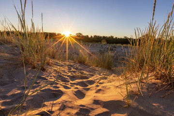 Summer sunrise over the sandy dunes in Yyteri