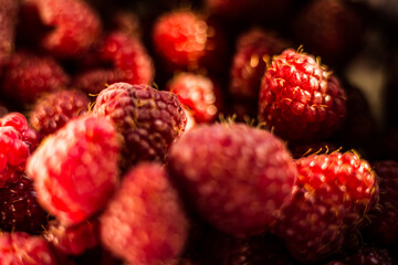 Fresh organic ripe raspberry - forest fruit