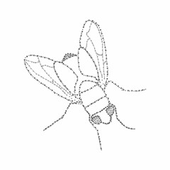 Dot painting in silhouette of a fly. Minimal style. Sketch. Perfect for cards, party invitations, posters, stickers, clothing. Abstract vector illustration.