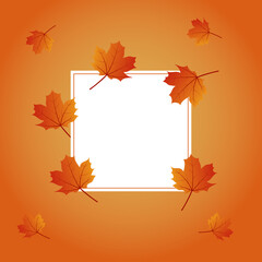 Vector banner background. Template with a white square for text with maple leaves. For an autumn seasonal discount. Vector illustration.