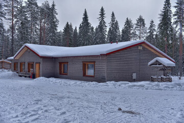 log cabin in a pine forest in winter