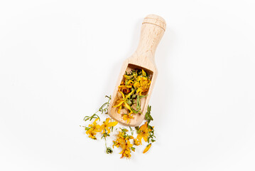 Dried Hypericum perforatum known as perforate St John's-wort plant flowers and leaf on wood spoon and scattered around on white background. Herbal medicine concept.