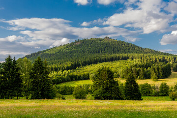 Sommerspaziergang durch die sch&ouml;ne Natur des Th&uuml;ringer Waldes