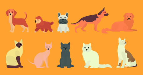 Set collection of pet animal, dogs and cats flat vector isolated design concept