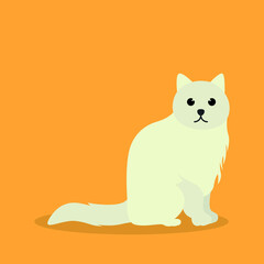Persian cat, pet animal flat vector isolated design concept