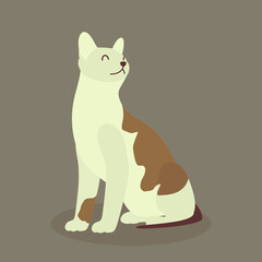 Domestic cat, pet animal flat vector isolated design concept