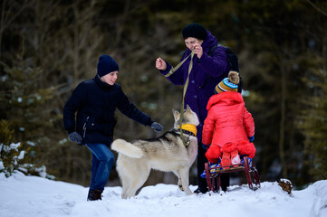 Fototapeta na wymiar Grandmother with grandchildren and dog walking in the winter forest, winter fun.