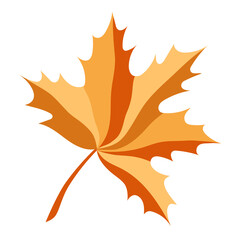 Multicolored isolated autumn orange maple leaf