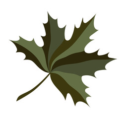 Multicolored isolated autumn green maple leaf