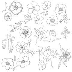 Vector illustrations, Floral set, flowers, leaves and branches. hand drawn design elements in sketch style. Perfect for invitations, greeting cards, tattoo, prints