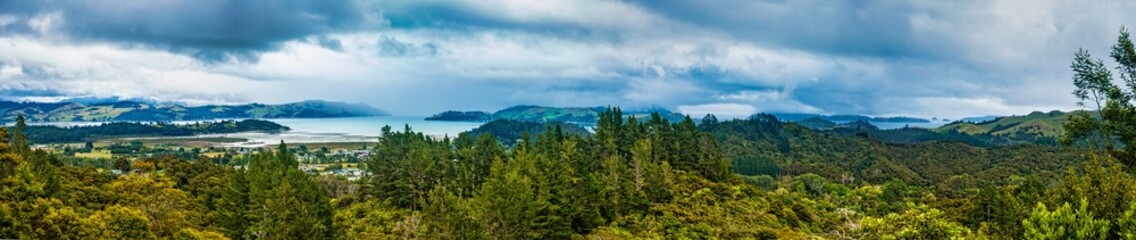 Fototapeta na wymiar Jungle panorama and ocean on the horizon in New Zealand