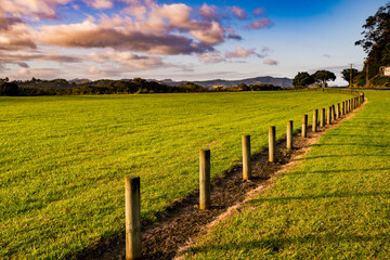 Fototapeta na wymiar Wooden fence on a green meadow during sunset in New Zealand