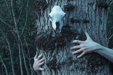A horror, Halloween concept. A sheep skull hanging from a tree, with hands reaching out. With a spooky blue edit.