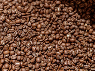 High quality freshly roasted arabica coffee beans