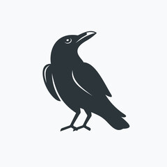 Obraz premium crow illustration, crow icon, crow vector art.