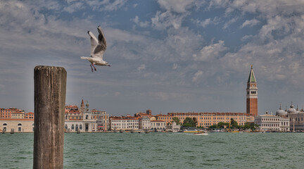 Piazza Di San Marco from Punta Della Dogana
