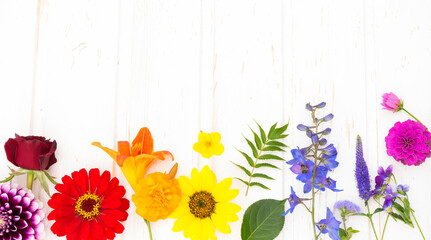 Different flowers are laid out according to the colors of the rainbow