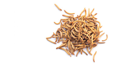 Heap of meal worms for feeding pets isolated on white background