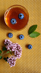 honey, oregano, blueberries on foundation