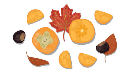 hand-drawn flat Lay, Food knolling style vector illustration of  ingredient, isolated on white background. Autumn vegan ingredient; persimmon, chestnut