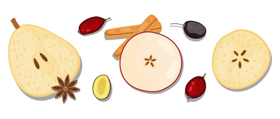 hand-drawn flat Lay, Food knolling style vector illustration of  ingredient, isolated on white background. Autumn vegan ingredient; pear, star anise, red berries, cinnamon stick, prune, apple,