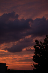 Fototapeta premium Sunset sky, orange pink purple, shadow tree nature