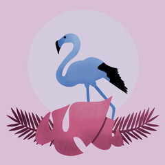 Flamingo Illustration