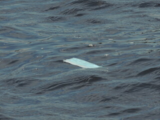 Fototapeta premium Medical mask in the water (sea). Personal protective equipment from COVIND-19 on a blue background.