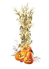 Fototapeta na wymiar Autumn decoration made of dried corn stalks and Halloween pumpkins. Hand drawn watercolor illustration, isolated on white background