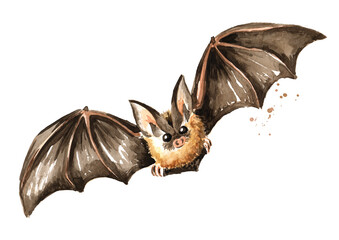 Obraz premium Flying bat. Hand drawn watercolor illustration, isolated on white background