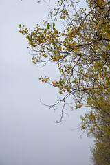 Autumn landscape, land, colorful season