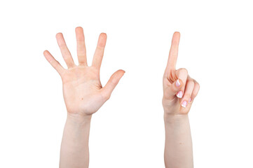 Hands with six fingers raised on white background isolated. Concept hands and body parts.