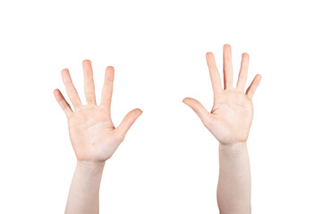 Hands up on white background isolated. Concept hands and body parts.