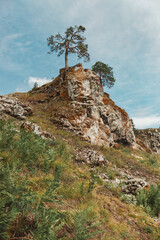 Fototapeta premium View from the foot of the cliff to the top