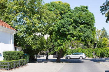 Streets in Warsaw with historic buildings with single-family houses