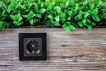 a black rosette in a wooden panel behind which plants; the concept of consuming natural energy or phyto wall
