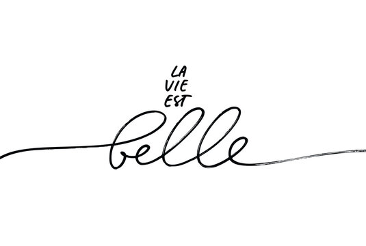 La Vie est Belle vector line lettering. Life is Beautiful in French. Black handwriting calligraphy isolated on white background. French expression, beautiful text. Modern brush calligraphy. 