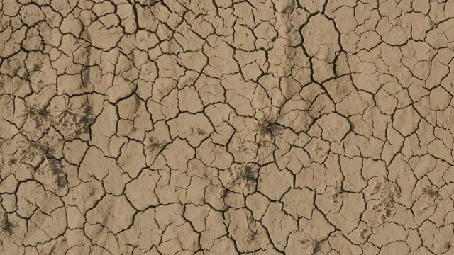 A South African stock video of dry drought cracked soil desert ground earth clay and dust with natural texture