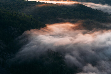 Fototapeta premium Fog in the mountains at sunrise. Morning fog in the mountains at dawn. Clouds in the mountains. Morning fog after rain. Mountains at dawn. Milk rivers. Copy space