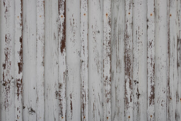 Texture of wooden surface painted in white with vertical stripes or slats, rusty rivets and cracked paint. Old weathered gate background with empty space for text