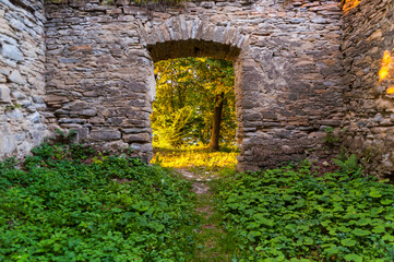 Obraz premium Ruins of a Greek Catholic church in Berezka, Bieszczady Mountains