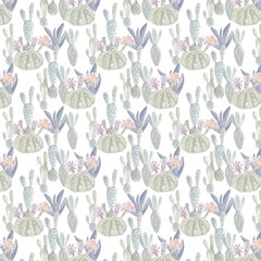 Watercolor pastel cactus seamless pattern on white - 449001771