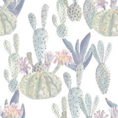 Watercolor pastel cactus seamless pattern on white - 449001778